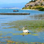 λίμνες Πρέσπες